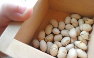 節分から立春へ。今年の春は寒いスタート。38年ぶりに立春望月も。