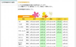 福岡管区気象台がさくらの満開を発表