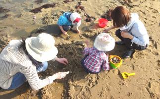 福岡各地で潮干狩り