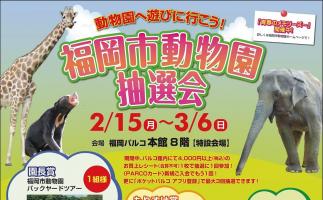 福岡パルコで「動物園へ遊びに行こう!福岡市動物園抽選会」を実施中