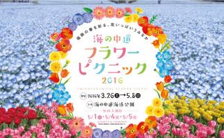 海の中道海浜公園で「海の中道フラワーピクニック 2016」開催