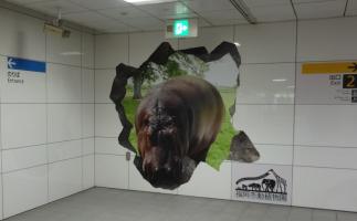 地下鉄薬院大通駅に動物園装飾が登場 実物大のカバ「タロー」のトリックアートも