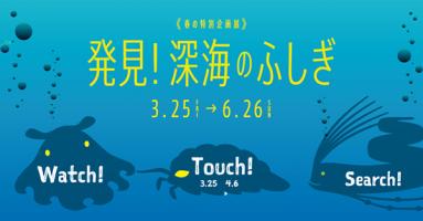 マリンワールド海の中道で、春の特別企画展「発見!深海のふしぎ」開催