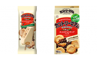 あのクッキーのアイス第2弾「不二家カントリーマアム 大人のチョコチップバニラ」発売
