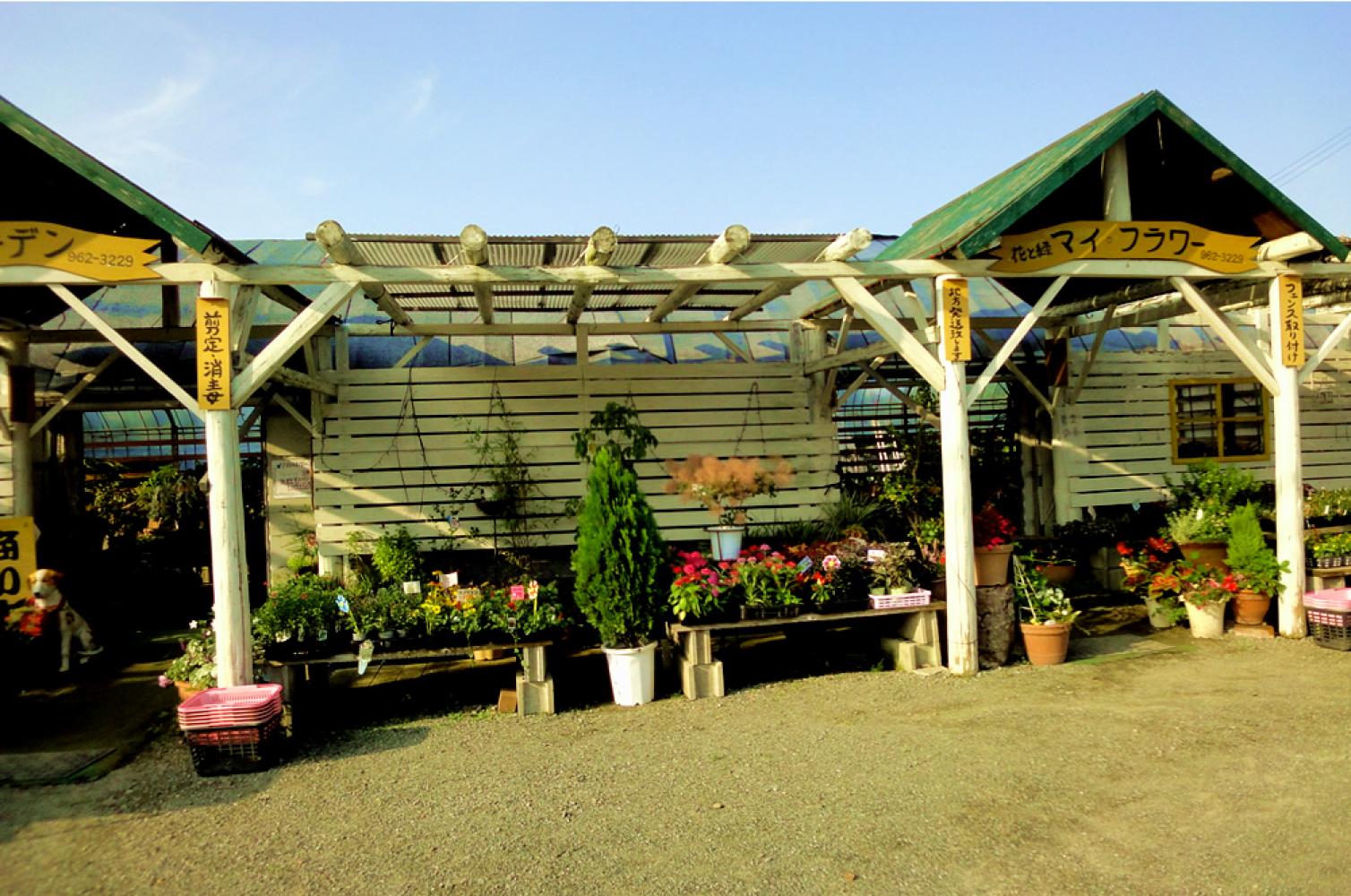 かわいい外観です マイフラワー