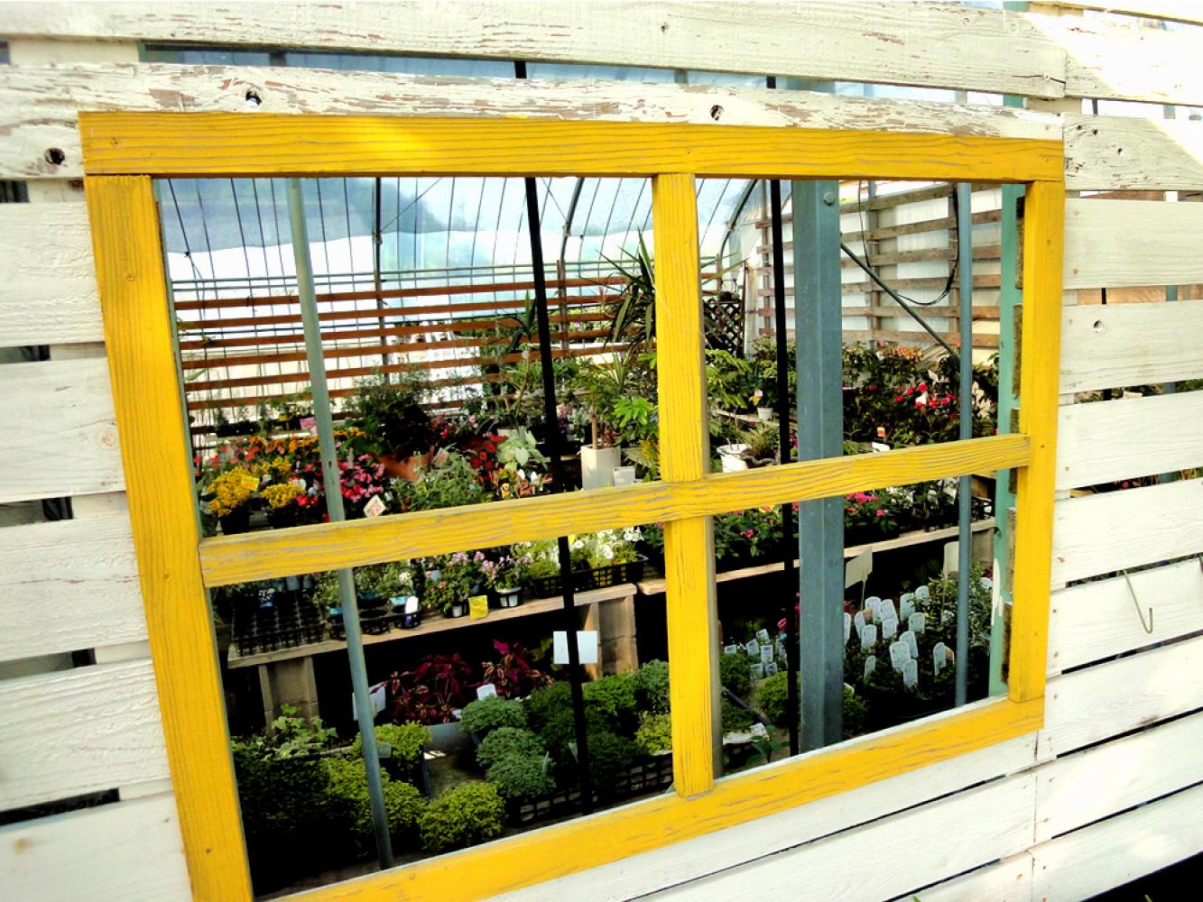 かわいい窓から マイフラワー