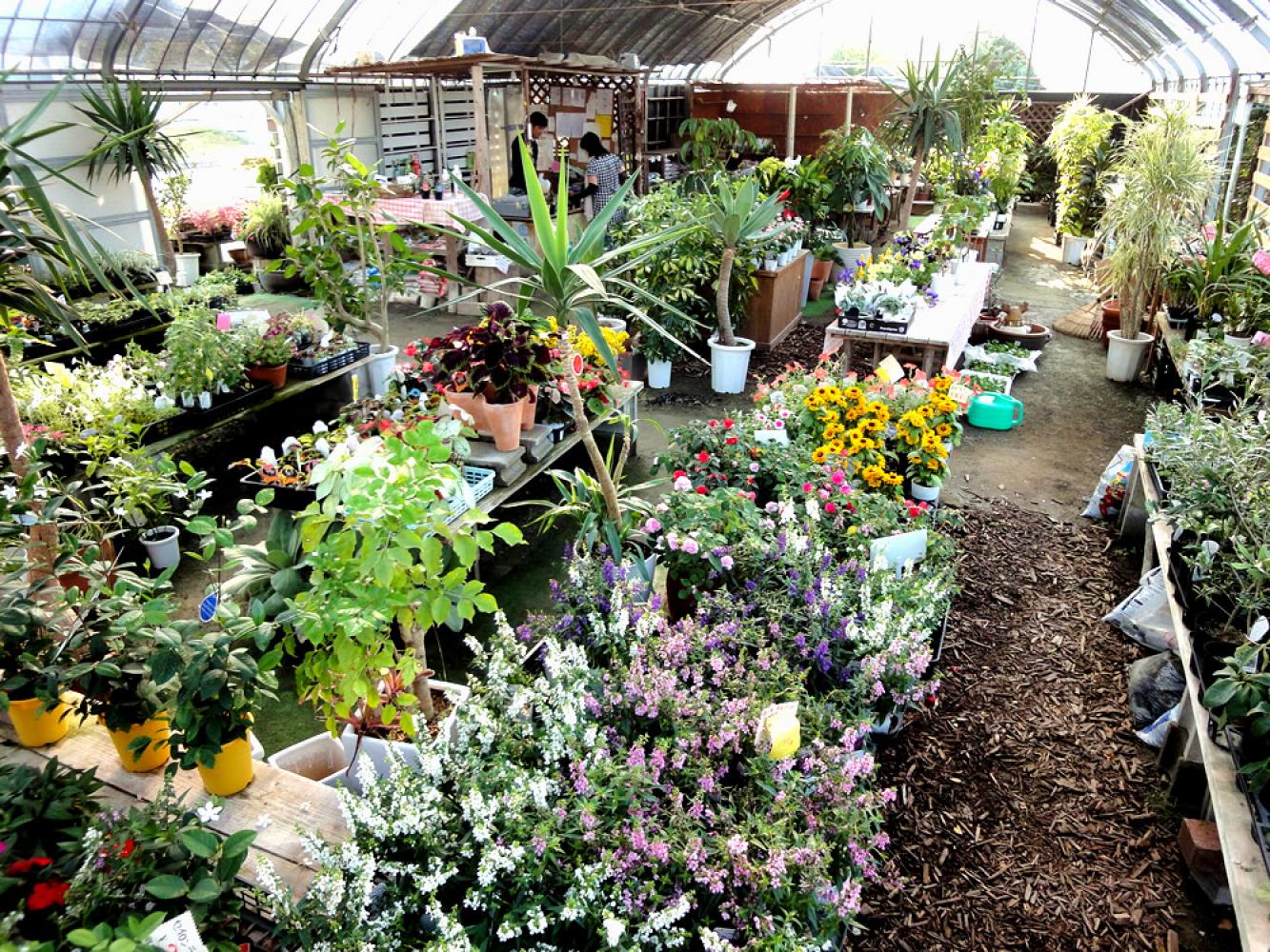 明るい店内 マイフラワー