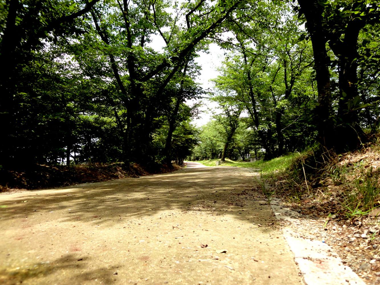 参道の景色 人丸神社