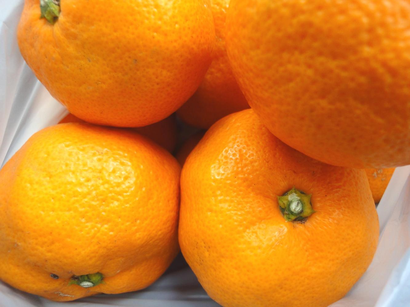 甘くて香り高い味わいが特徴。 いわくま果樹園